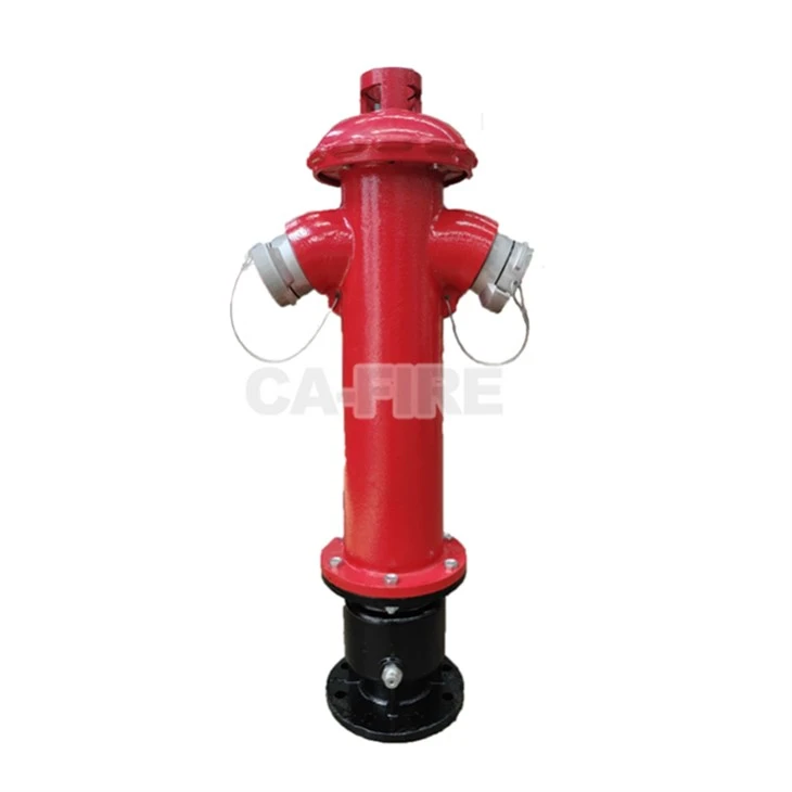 DN100 Firehydrants