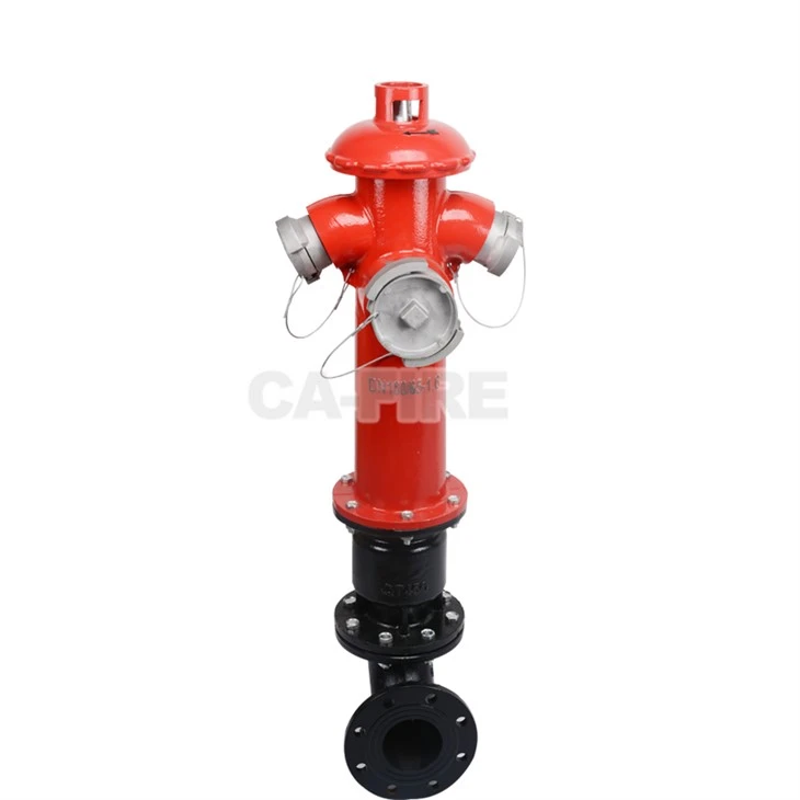 DN100 Firehydrants