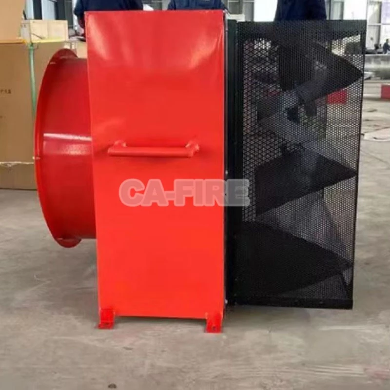 product-800-800 product-800-800
